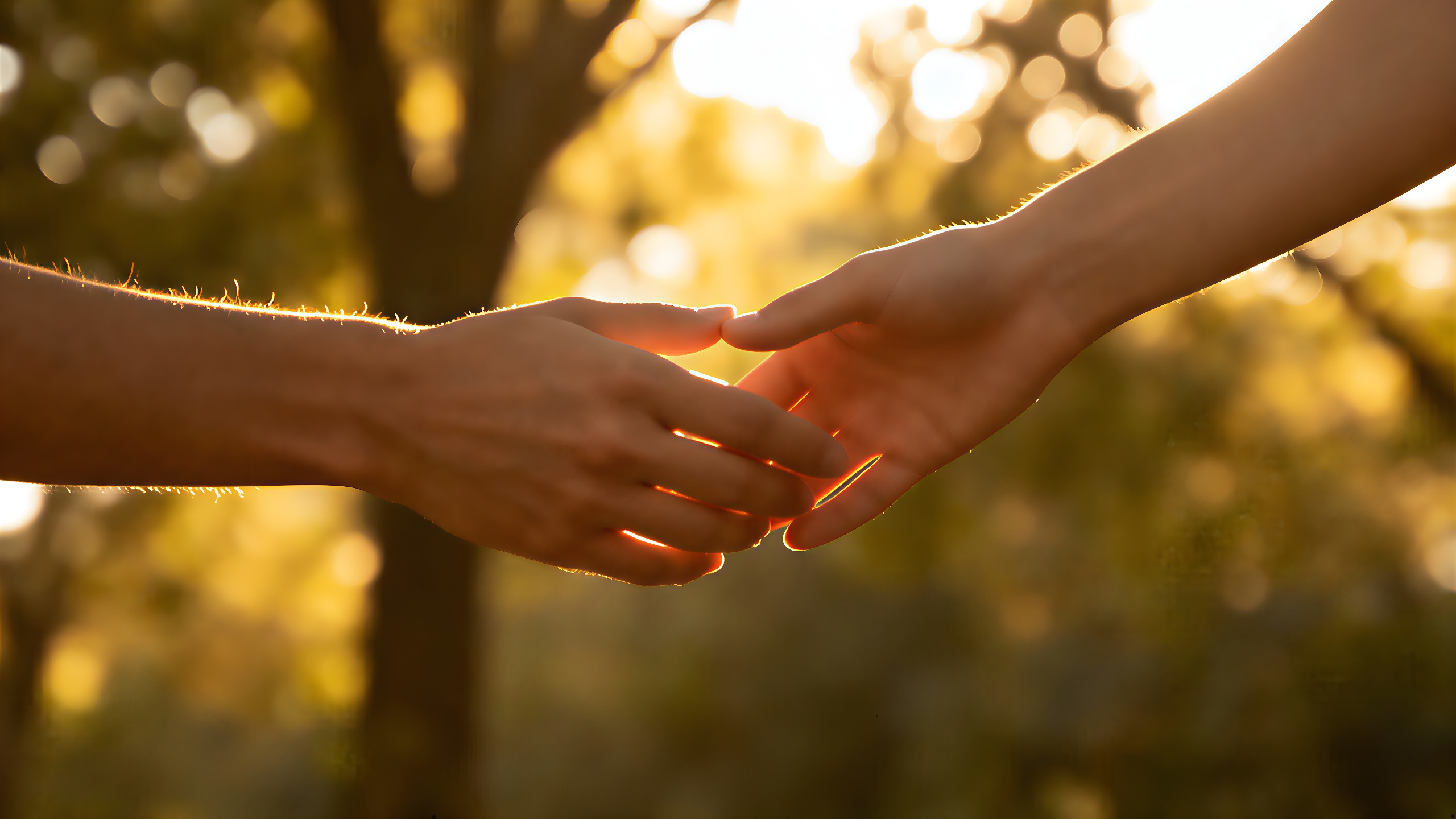 Zwei Hände erreichen sich sanft in einem naturbelassenen Hintergrund.