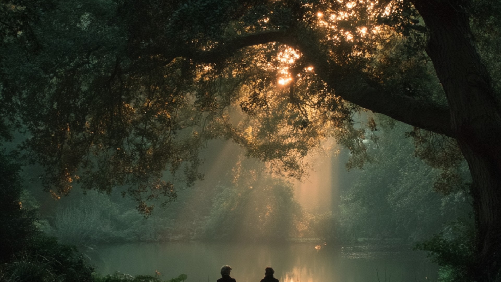 Aprender a perdonar: Caminos hacia el bienestar emocional