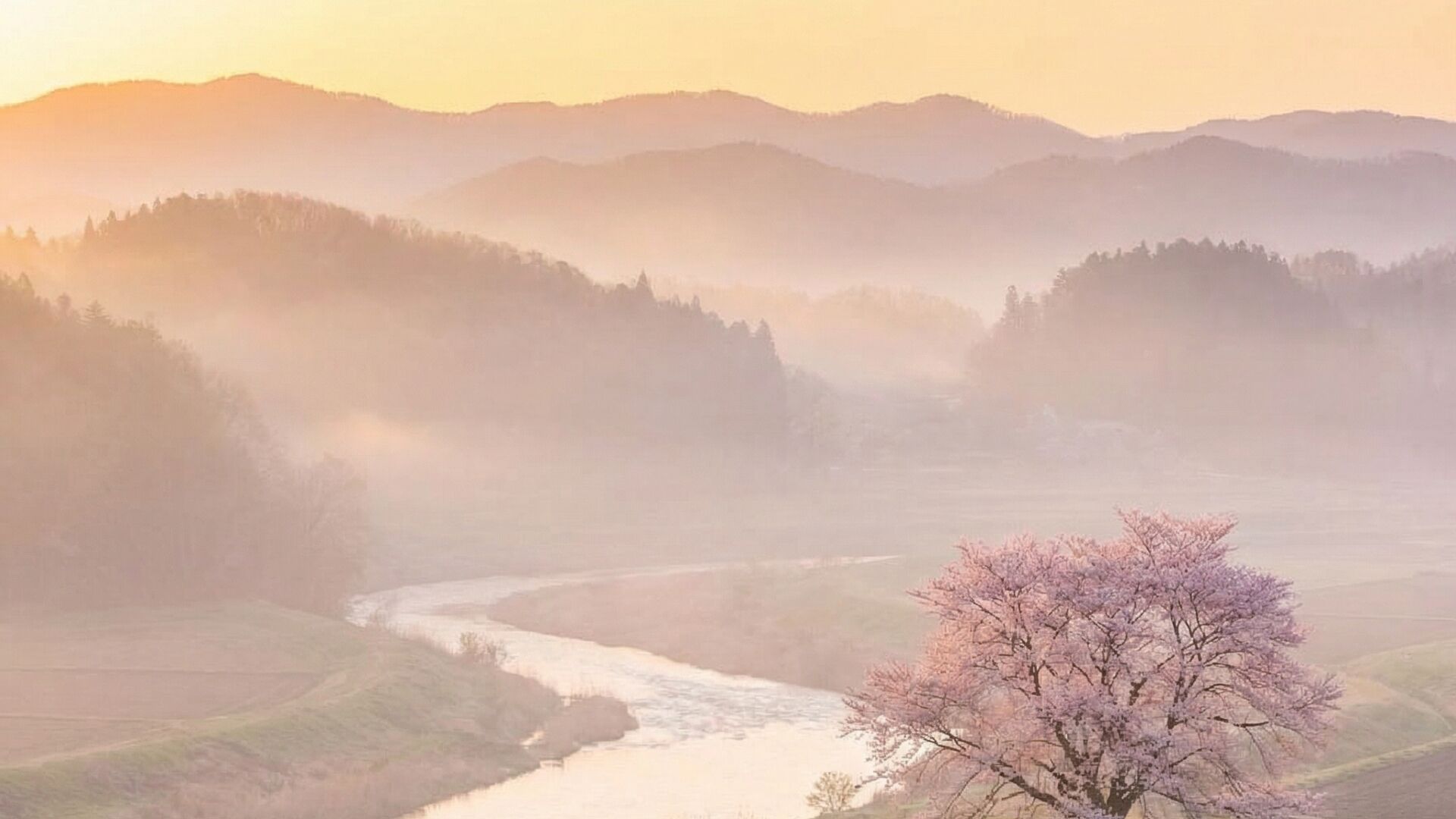 Interpretación de sueños: Descubre tu mundo interior
